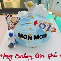 Bánh kem sinh nhật phi hành gia dn02